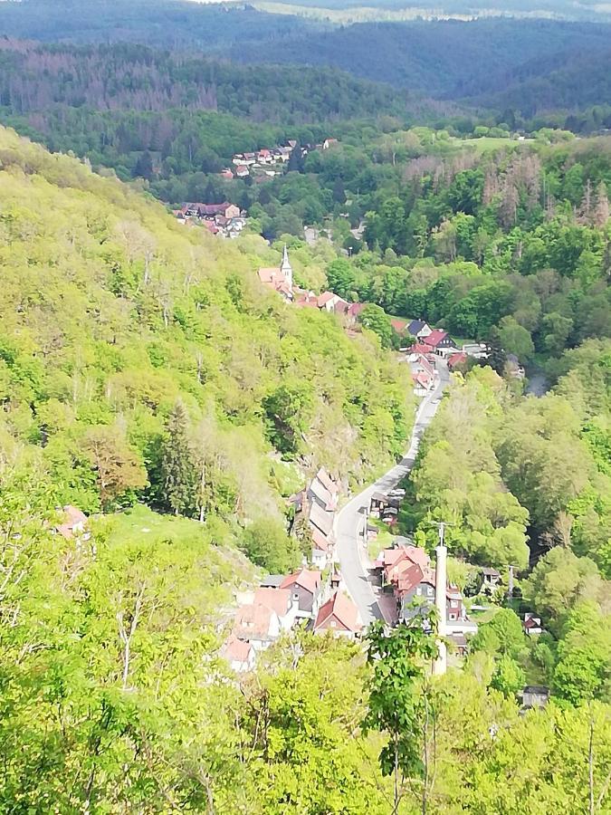 Апартаменти Alte Forsterei Альтенбрак Екстер'єр фото